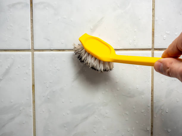 Best Home Mold Removal  in Thousand Oaks, CA