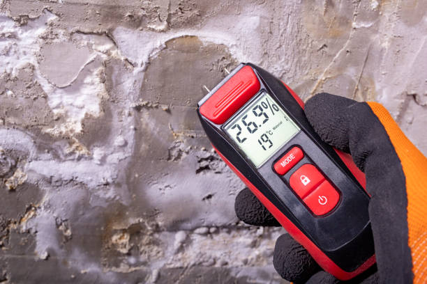 Best Fast Mold Removal  in Thousand Oaks, CA