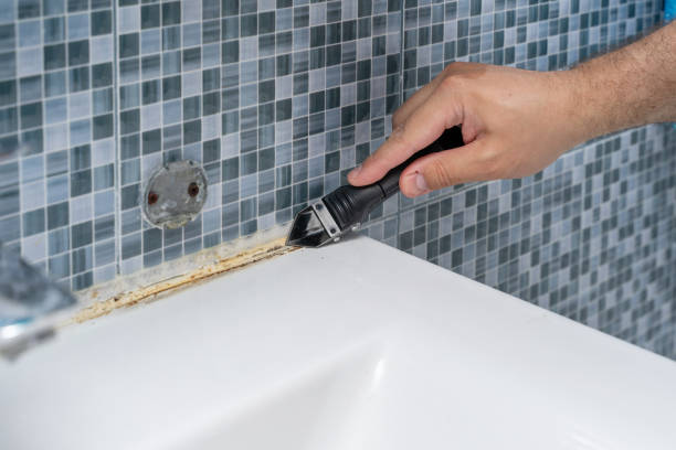 Mold Removal Process in Thousand Oaks, CA